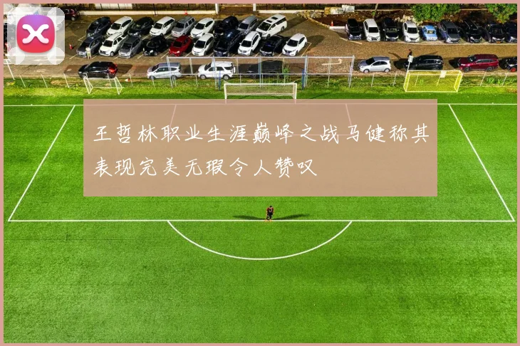 王哲林职业生涯巅峰之战马健称其表现完美无瑕令人赞叹